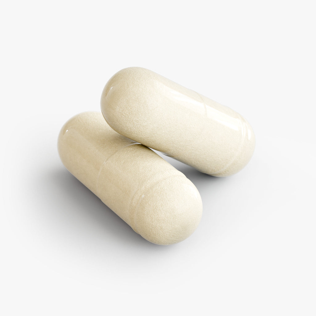 Biomara Probiotic 20 Billion CFU | Supports Digestive Health and Immune Function