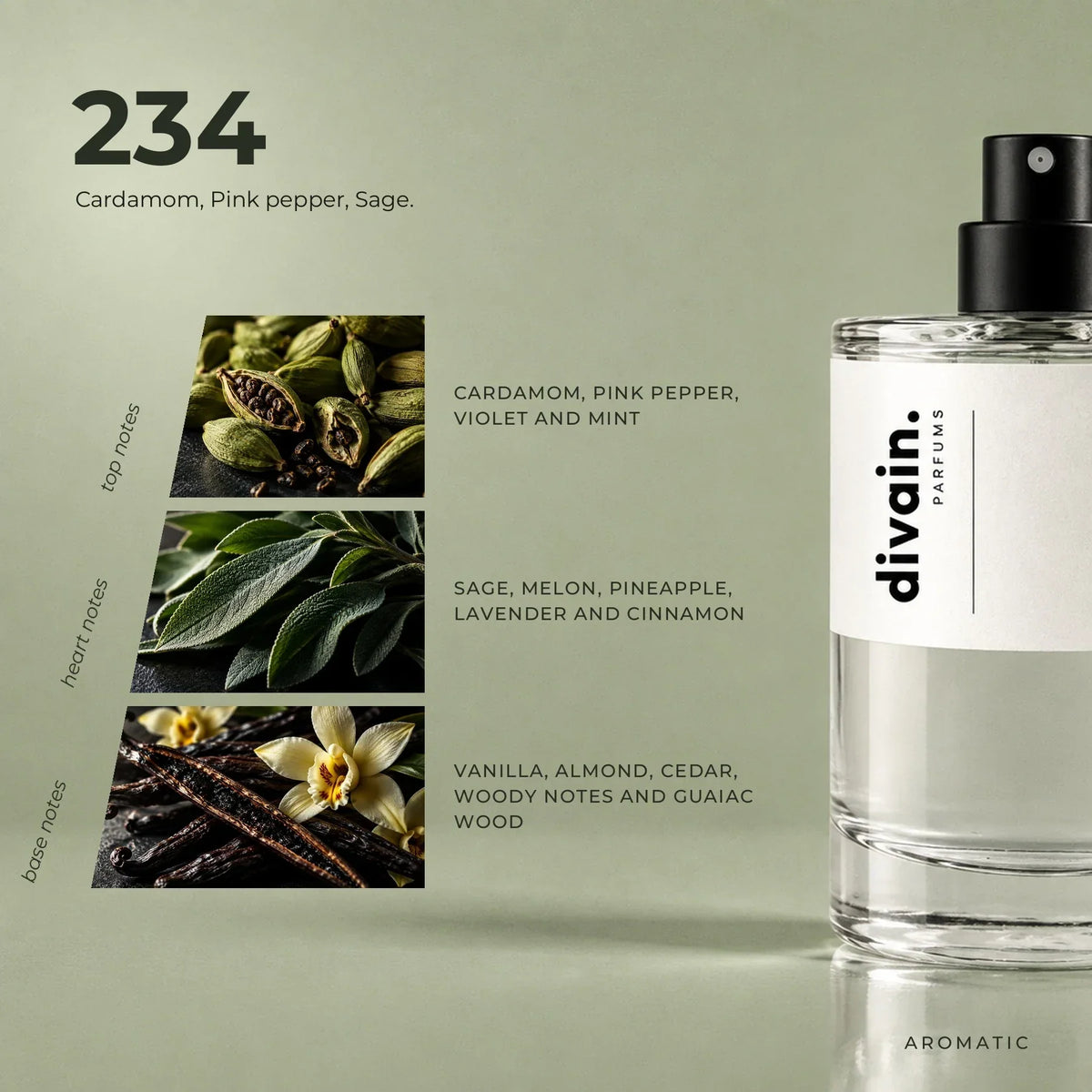 divain. 234