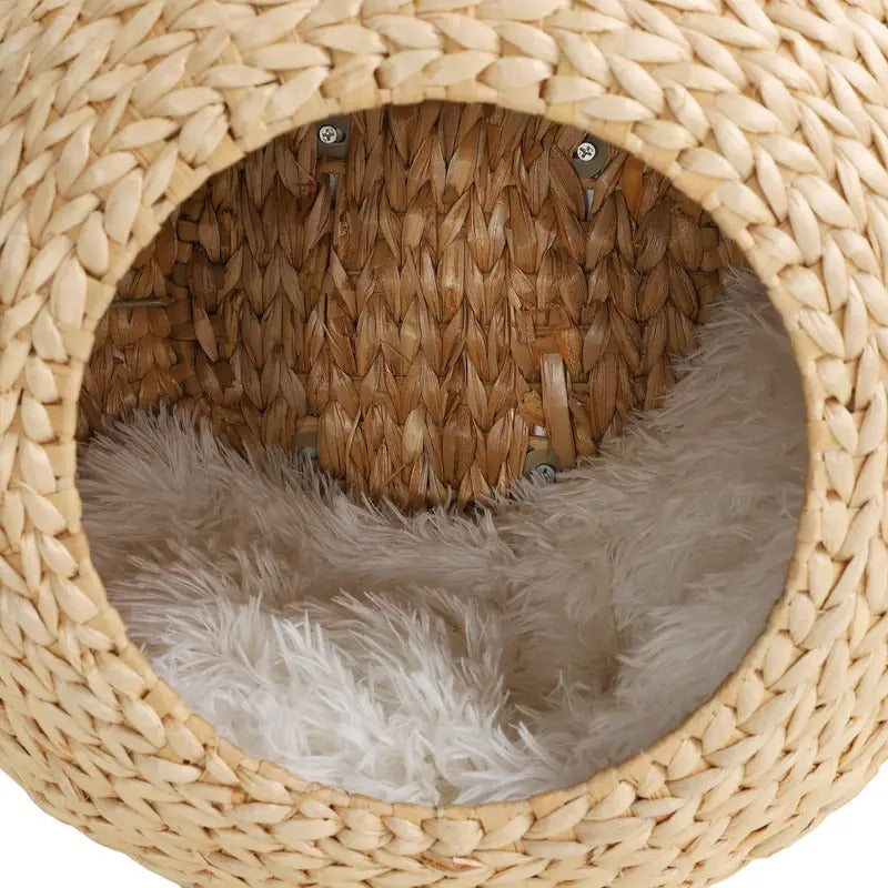 cat wall furniture wall mounted cat condo washable