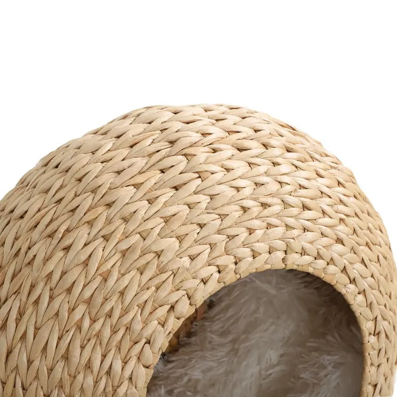 cat wall furniture wall mounted cat condo washable