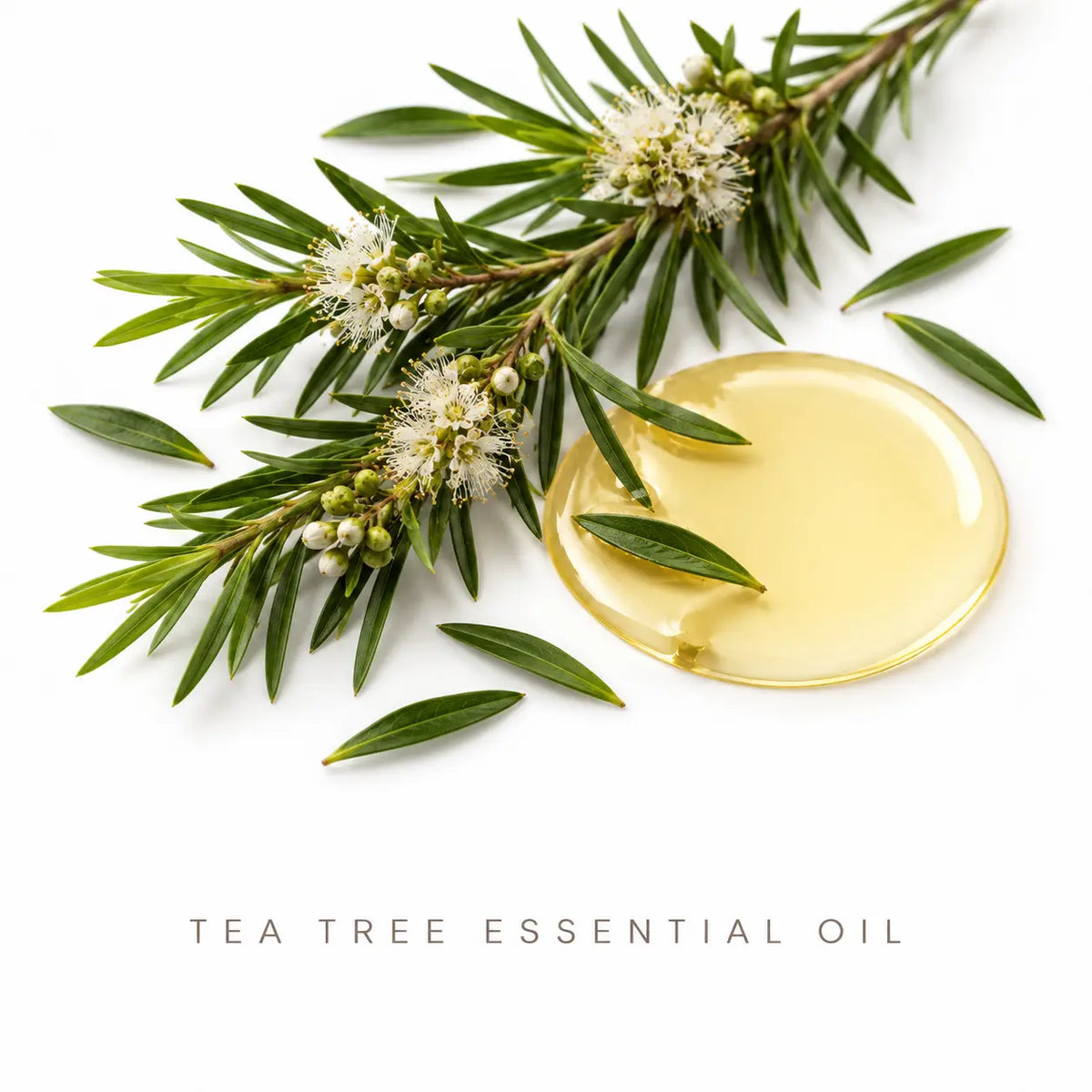 Lulu's Holistics Tea Tree & Lavender Aluminum-Free Deodorant (2.65oz)